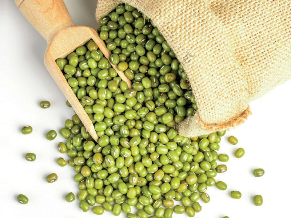 500 gr